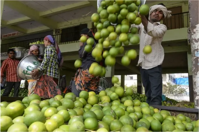 బత్తాయిలను మార్కెట్ కు చేరుస్తున్న కార్మికులు