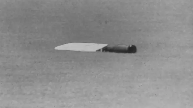 లిల్లీ వాడిన అల్యూమినియం బ్యాట్ ఇదే