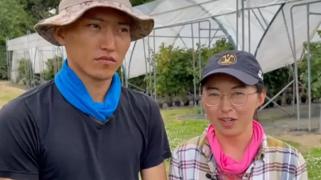 Тамерлан ва Жазгул