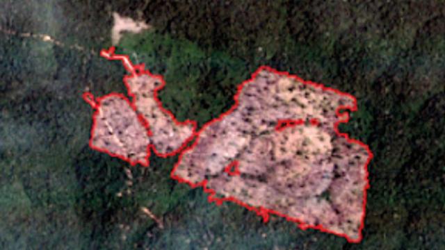 Imagemlampionsbet apksatélite da mesma área da floresta, mas desmatada