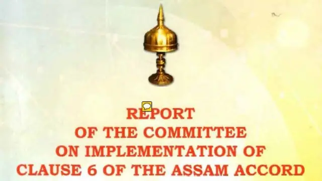 प्रतिवेदनमा आसामका गोर्खाबारे केही पनि उल्लेख नभएको पाइएको भन्दै त्यहाँका नेपालीभाषीहरूले असन्तुष्टि व्यक्त गर्दै आएका छन्।