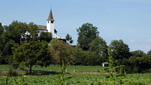 بدأت أزمة الهوية التي تعاني منها "بوزنغين" عام 1693 عندما أثارت نزاعات ذات طابع ديني ومذهبي خلافا عائليا محتدما