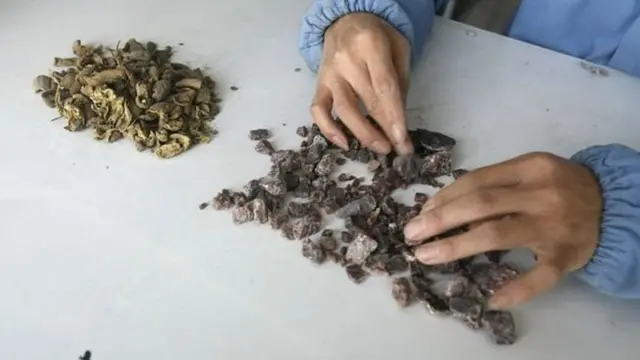 भारत, चीन, औषधं, फार्मा इंडस्ट्री