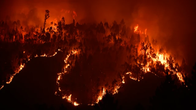 Incendio en Portugal en junio de 2017