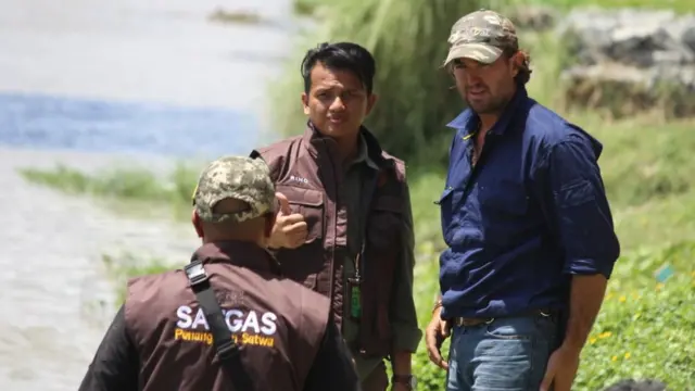 buaya, reptile, rescue