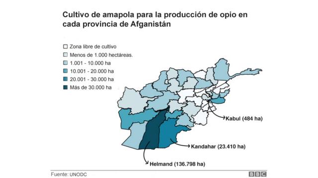 La guerra de las amapolas: el fracaso de EEUU en Afganistán que aupó a los  talibanes
