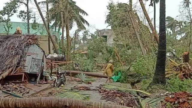 తుపాను తరువాత ఉద్దానంలోని ఒక గ్రామంలో పరిస్థితి