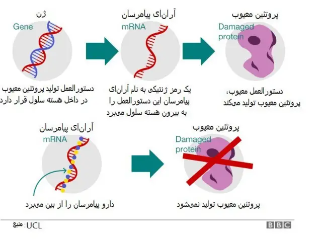 خاموش کردن ژن