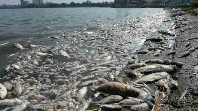 การขยายตัวของอุตหสาหกรรมส่งผลกระทบต่อปัญหาสภาพแวดล้อม ซึ่งเป็นปัญหาที่เวียดนามจะต้องมาตรการเพื่อสร้างความเชื่อมั่นต่อนักลงทุนในอนาคต