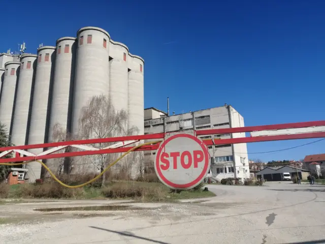 Makovica u Mladenovcu