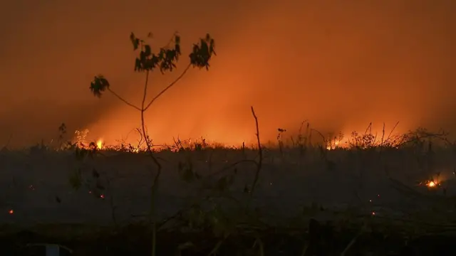 மலேசிய காட்டுத் தீ: பரவும் புகைமூட்டம், மூச்சுத் திணறும் மக்கள் - அமேசான் காடும், இந்தோனீசியா நாடும்