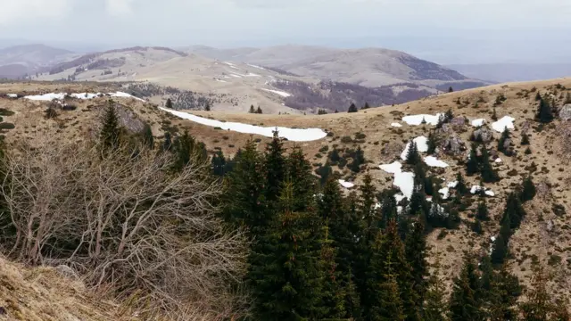Kopaonik
