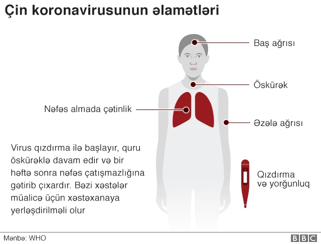 Koronavirus