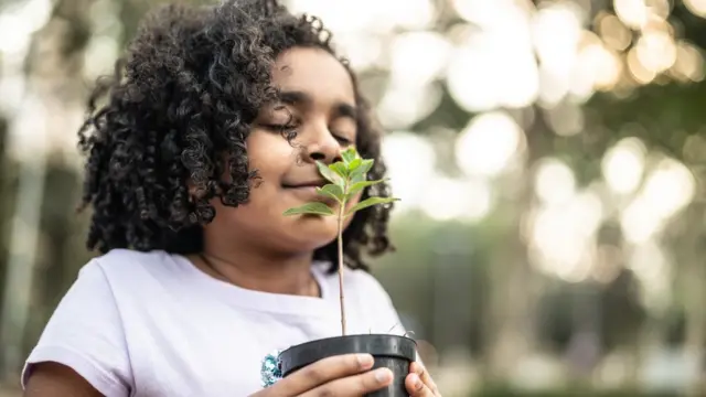 ታዳጊ ሕፃን አትክልት ስታሸት