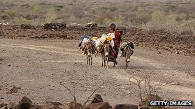 Woman on way to collect water