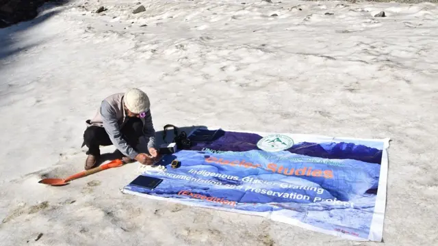 گلیئشر گرافٹنگ