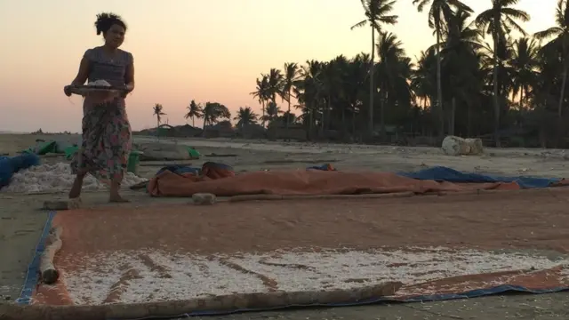 ဒေါ်ညိမ်းကမ်းခြေ