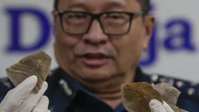 Asisten Direktor Jenderal Bea dan Cukai Malaysia, Paddy Abdul Halim