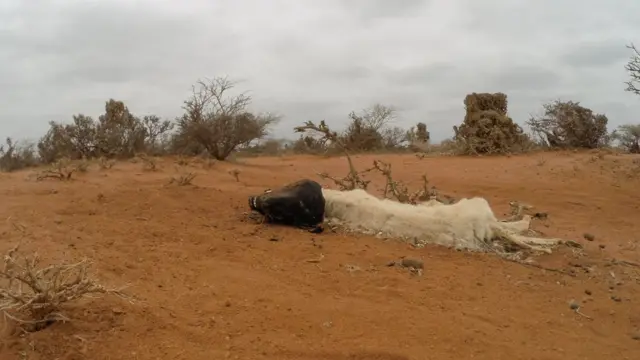 Abaarta ayaa galaafatay qaar badan oo ka mid ah duunyadii ay dadku dhaqanayeen