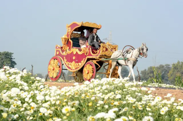फूलों के बाग़ीचे में एक घोड़ागाड़ी