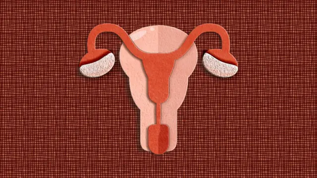 महिला आरोग्य, योनीमार्ग, मासिक पाळी