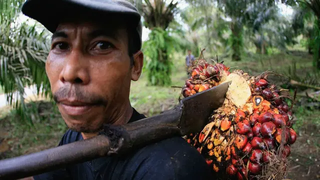 मलेशिया, भारत, पाकिस्तान, आयात-निर्यात