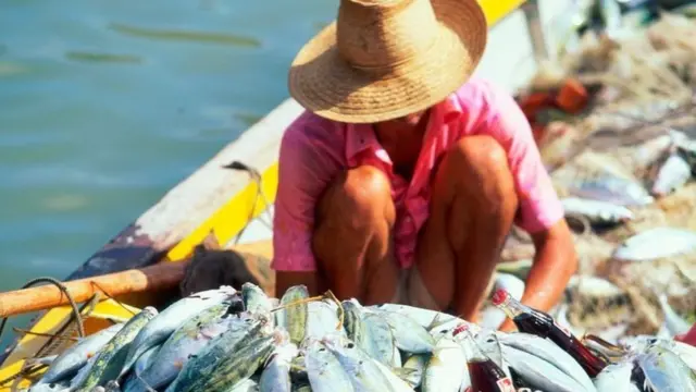 حظرت سيشل أنشطة الصيد في ما يقارب نصف محمياتها البحرية في المحيط التي تمتد إجمالا على مساحة تتجاوز مساحة ألمانيا