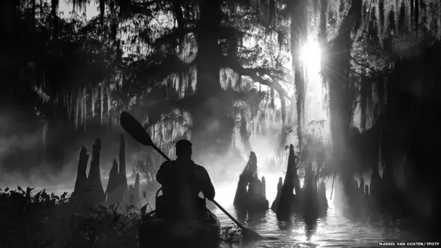 ਜਲਗਾਹ / wetland