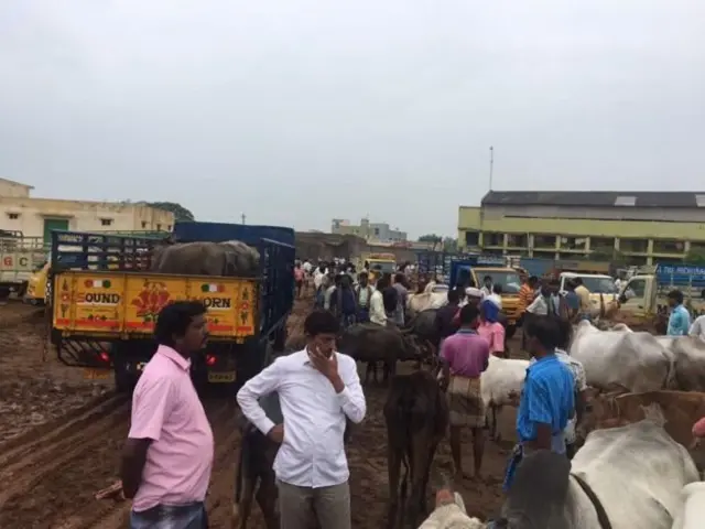 மாட்டுச் சந்தை