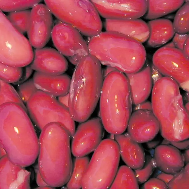 Frijoles