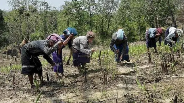 रियांग जनजाति