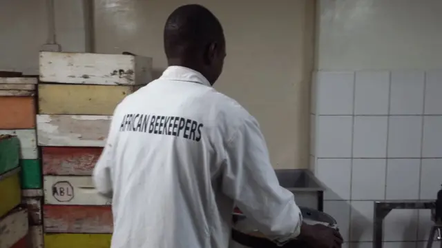 Afrikalı bir arıcı