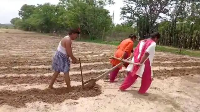 మదనపల్లెలో కాడెద్దులుగా అక్క చెల్లెళ్లు