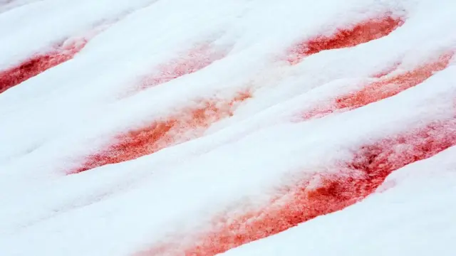 ఎరుపు రంగు మంచు