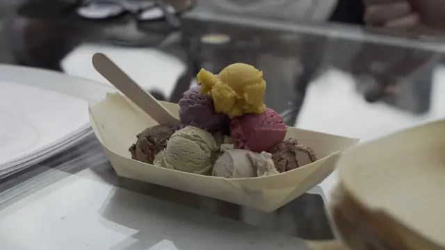 فستیوال وگان در برلین