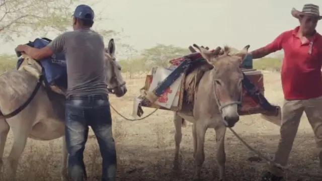 ਗਧੇ ਨਾਲ ਪੜ੍ਹਾਈ