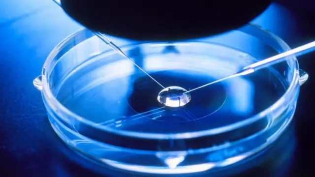 Kiinitete kikiandaliwa kwa njia ya IVF