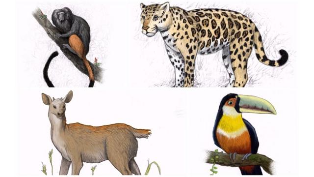 Animais da antiga fauna paulistana