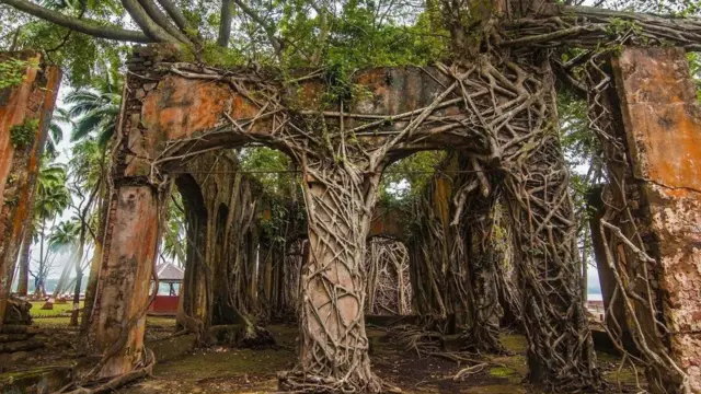 نیلما ورنگی