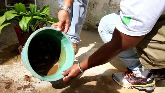 Ação contra o mosquito aedes aegypti