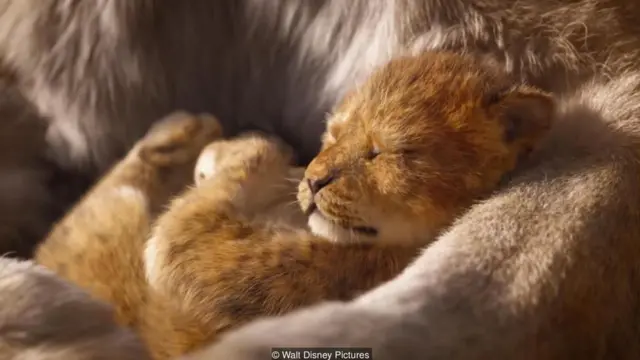 Imagen promocional El Rey León.