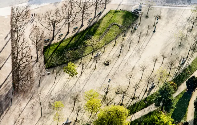 Trees, Shadows and Greens by Evelyn Nodwell