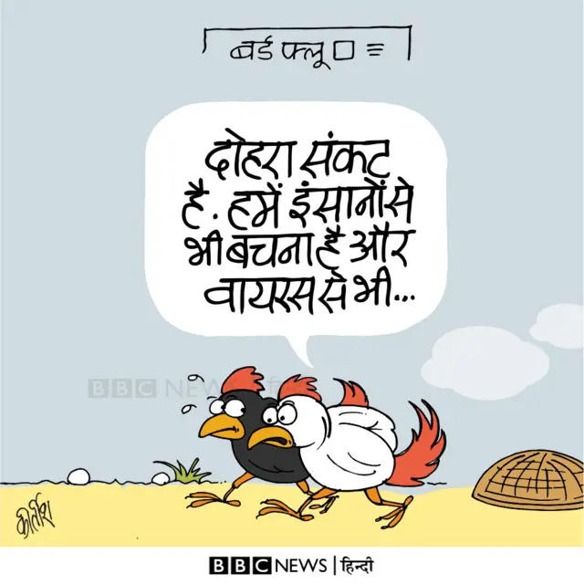 कार्टून