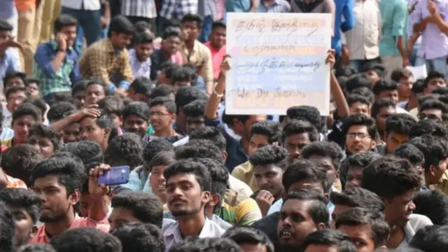 जल्लीकट्टू प्रदर्शन