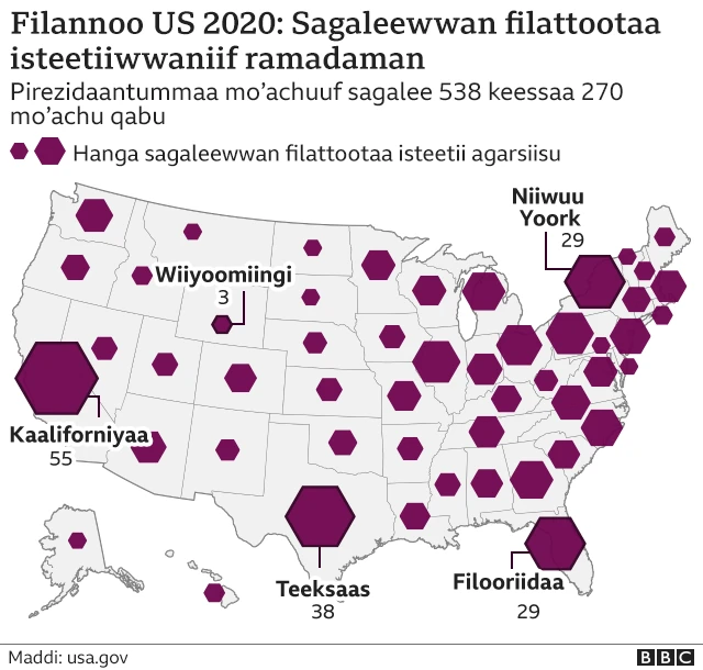Bakkeewwan dorgommii cimaan itti gaggeefamu