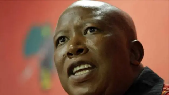 Malema