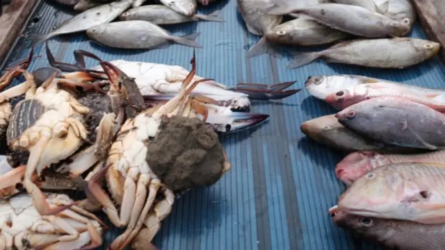 hari air sedunia, papua, hutan perempuan, hari hutan, teluk youteva