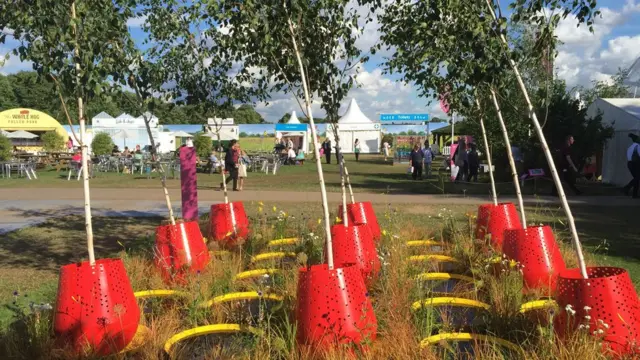 Цей садок має назву "Кінетика"