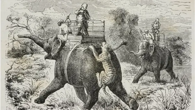 વાઘનો શિકાર કરીને તેના મૃતદેહમાંથી મળતી વસ્તુઓની દુનિયામાં ઘણી માગ હોવાના કારણે શિકાર