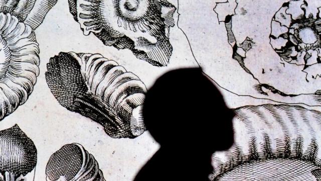 Ilustraciones de Da Vinci con la sombra de un hombre.